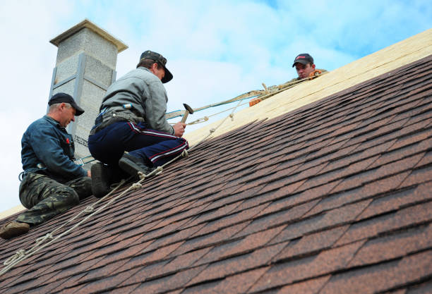 Best Roof Leak Repair  in Camano, WA