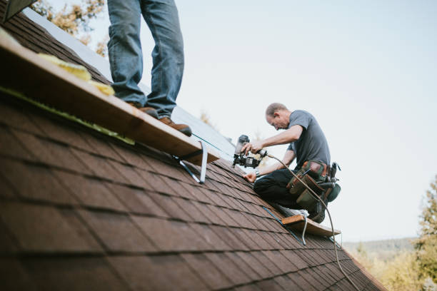 Best Metal Roofing Contractor  in Camano, WA